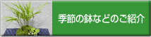 �G�߂̔���
